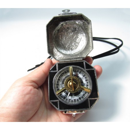 Karibian merirosvot, kompassi kärpäs