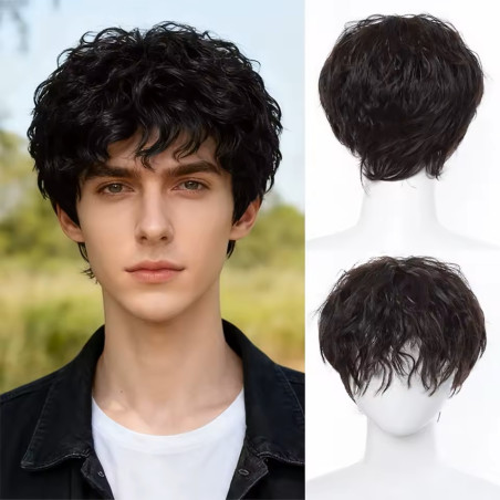 Men's Synthetic Adult Kinky Curly Wig